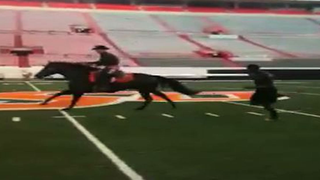 Here Are Videos Of Dez Bryant Racing A Horse In College
